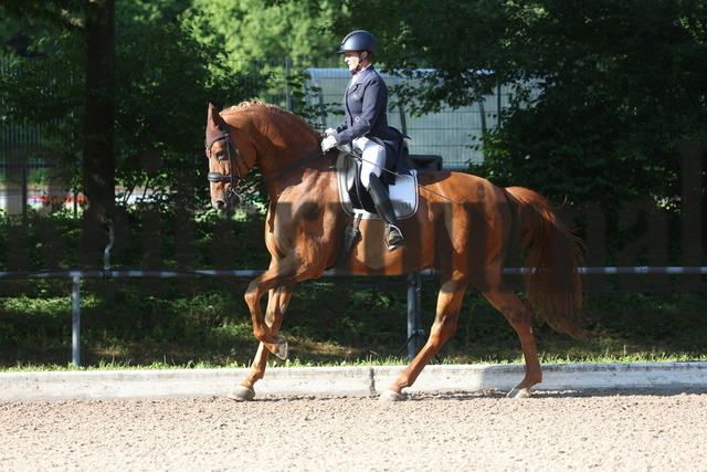 Prfg.Nr.20 Dressurprüfung Kl.S* - St.Georg | Reiterjournal Foto-Shop